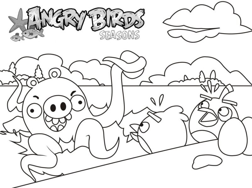 hinh-to-mau-angry-birds-cho-be-tap-to-1-802x600-1 Hình tô màu Angry Birds cho bé tập tô (1)