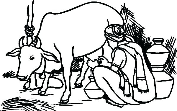 Hình tô màu con bò dễ thương cho bé tập tô (4)