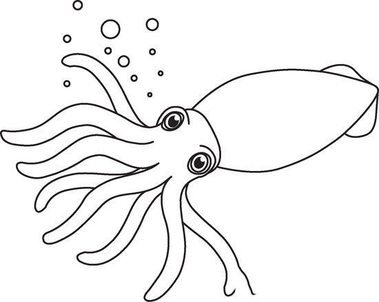hinh-to-mau-con-muc-cho-be-tap-to-8 squid marine life black white outline