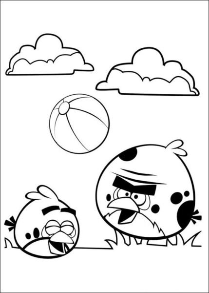 hinh-ve-chua-to-mau-angry-birds-cho-be-tap-to-2-429x600-1 Hình vẽ chưa tô màu Angry Birds cho bé tập tô (2)