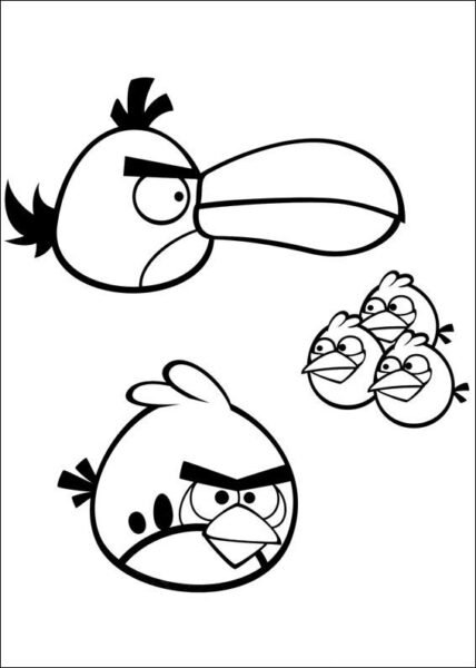 hinh-ve-chua-to-mau-angry-birds-cho-be-tap-to-5-428x600-1 Hình vẽ chưa tô màu Angry Birds cho bé tập tô (5)