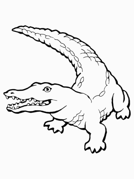 hinh-ve-chua-to-mau-ca-sau-cho-be-tap-to-2-450x600-1 Free Printable Crocodile Coloring Pages For Kids for Coloring Pages Crocodile