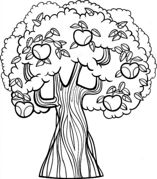 Tree Coloring Pages Getcoloringpages regarding Apple Tree Coloring Pages pertaining to Encourage in coloring page