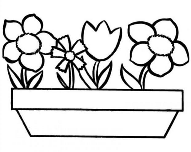 hinh-ve-chua-to-mau-hoa-huong-duong-cho-be-tap-to-3 Hình vẽ chưa tô màu hoa hướng dương cho bé tập tô (3)