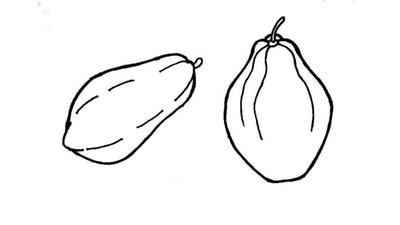 hinh-ve-chua-to-mau-qua-du-du-cho-be-tap-to-3-820x461-1 how to draw papaya fruit step step in easy way drawing