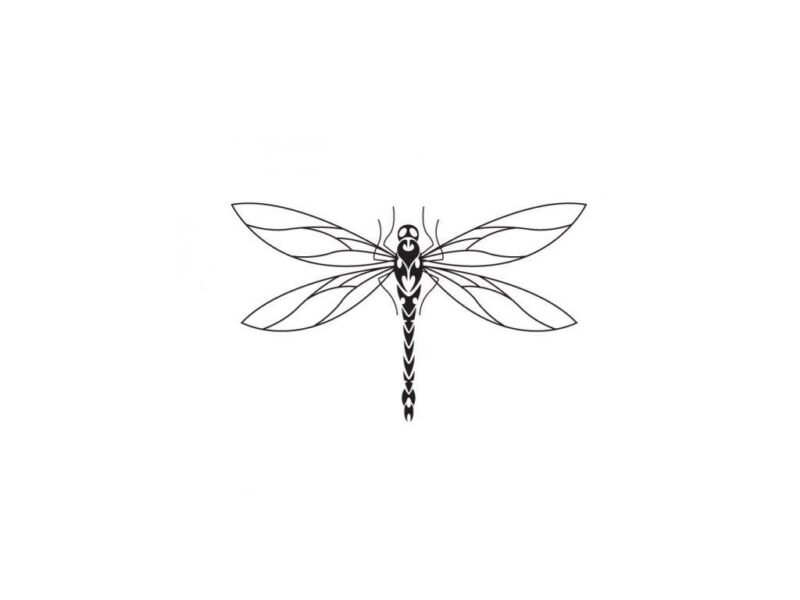 hinh-ve-den-trang-con-chuon-chuon-cho-be-to-mau-5-800x600-1 Hình vẽ đen trắng con chuồn chuồn cho bé tô màu (5)