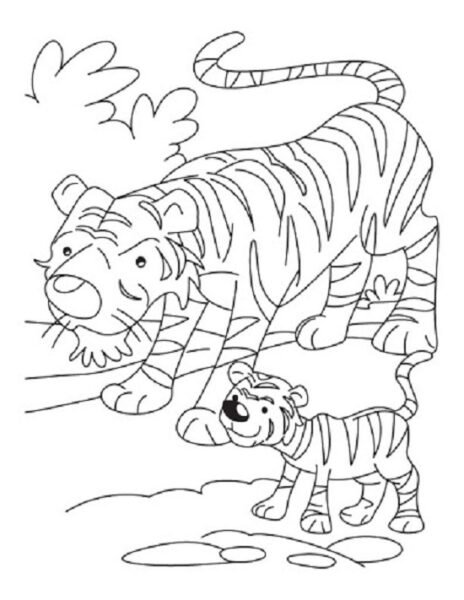 hinh-ve-den-trang-con-ho-cho-be-to-mau-2-464x600-1 Hình vẽ đen trắng con hổ cho bé tô màu (2)