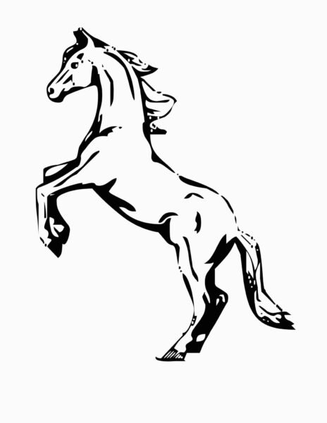 Mustang Wild Horse Coloring Page Free Printable Coloring for Mustang Horse Coloring Pages
