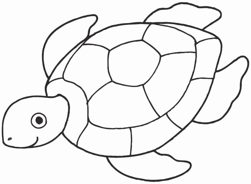 hinh-ve-den-trang-con-rua-dep-cho-be-to-mau-6-816x600-1 pictures of turtles to color Awesome Free Coloring Pages Ninja Turtles Photograph