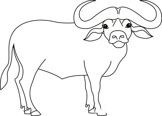hinh-ve-den-trang-con-trau-cho-be-to-mau-6 buffalo black white outline clipart