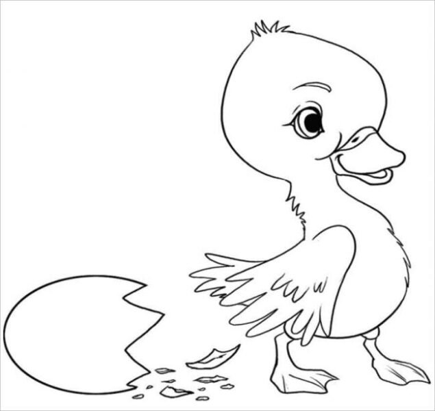 Hình vẽ đen trắng con vịt cho bé tô màu (5)