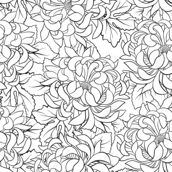 hinh-ve-tap-to-hoa-cuc-3-600x600-1 Seamless pattern with chrysanthemum in Japanese style. Outline d