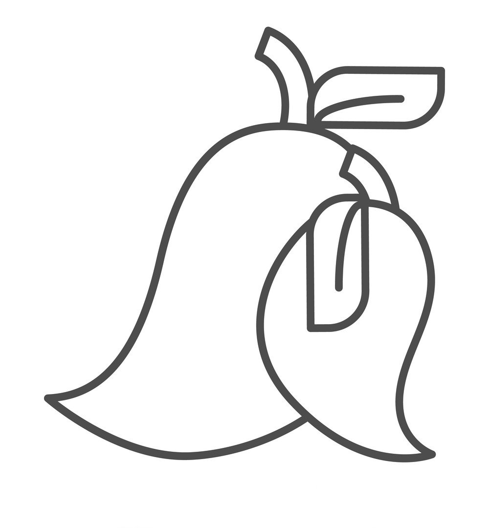 mau-tranh-to-mau-qua-xoai-cho-be-hoc-tap-to-3 Mango thin line icon. Fruit vector illustration isolated on white. Tropical fruit outline style design, designed for web and app. Eps 10.