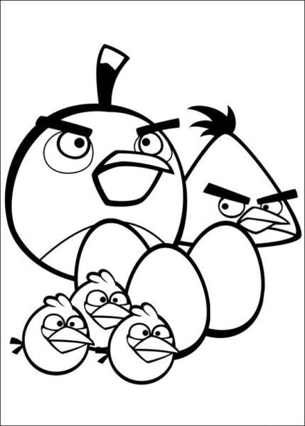tranh-to-mau-angry-birds-cho-be-tap-to-30-429x600-1 Tranh tô màu Angry Birds cho bé tập tô (30)