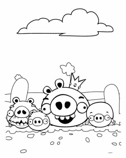 tranh-to-mau-angry-birds-cho-be-tap-to-34-480x600-1 Tranh tô màu Angry Birds cho bé tập tô (34)