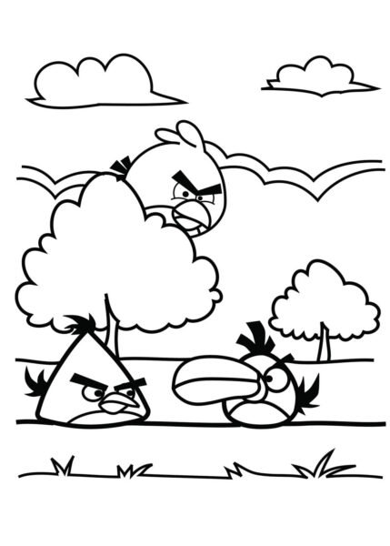 tranh-to-mau-angry-birds-cho-be-tap-to-36-429x600-1 Tranh tô màu Angry Birds cho bé tập tô (36)
