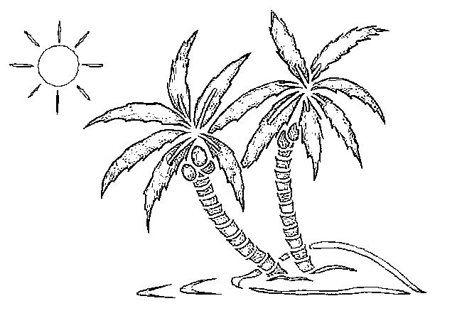 tranh-to-mau-cay-dua-dep-nhat-cho-be-tap-to-39 Tranh tô màu cây dừa đẹp nhất cho bé tập tô (39)