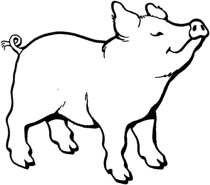 tranh-to-mau-con-heo-ngo-nghinh-cho-be-tap-to-29-680x600-1 pig clipart black and white Best of Pig clipart black and white Pencil and in color pig clipart