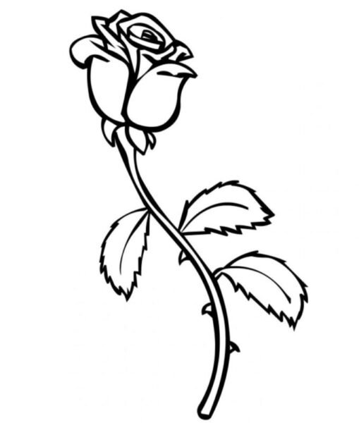 tranh-to-mau-hoa-hong-dep-nhat-cho-be-tap-to-38-1-509x600-1 Tranh tô màu hoa hồng đẹp nhất cho bé tập tô (38)