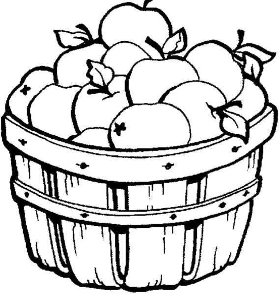 fruit bowl coloring pages Inspirational Bushel Basket Apples Coloring Page Apple Free Printable Kids