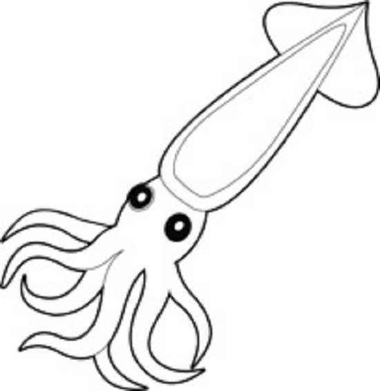 tranh-ve-chua-to-mau-con-muc-cho-be-tap-to-2 soft body large squid with tentacles invertebrae animal black white outline clipart