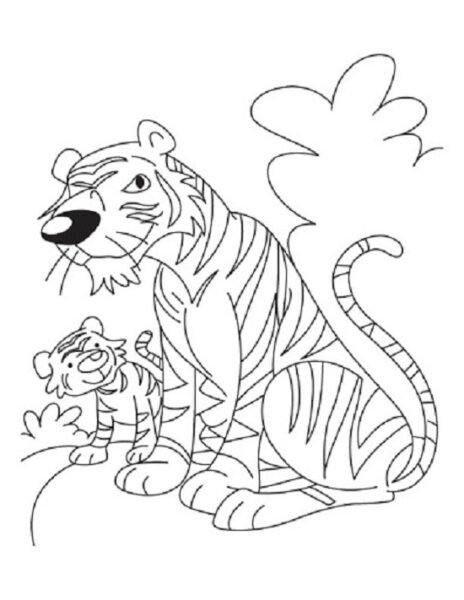 tranh-ve-con-ho-cho-be-to-mau-2-464x600-1 Tranh vẽ con hổ cho bé tô màu (2)