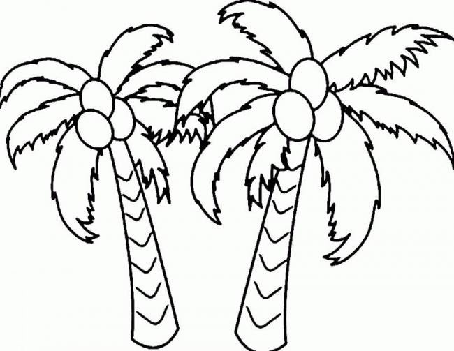 tranh-ve-den-trang-cay-dua-cho-be-to-mau-3 Tranh vẽ đen trắng cây dừa cho bé tô màu (3)