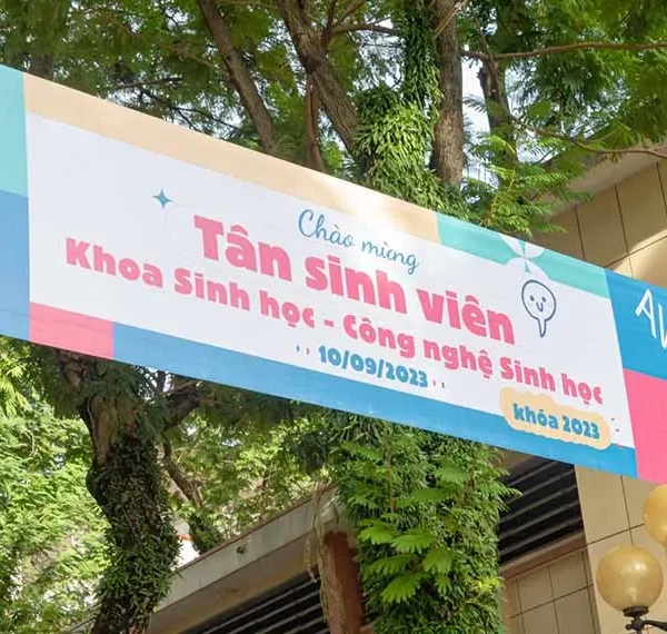 Phông Bạt Hiflex Xanh In Kỹ Thuật Số iN Bat Kho Lon19