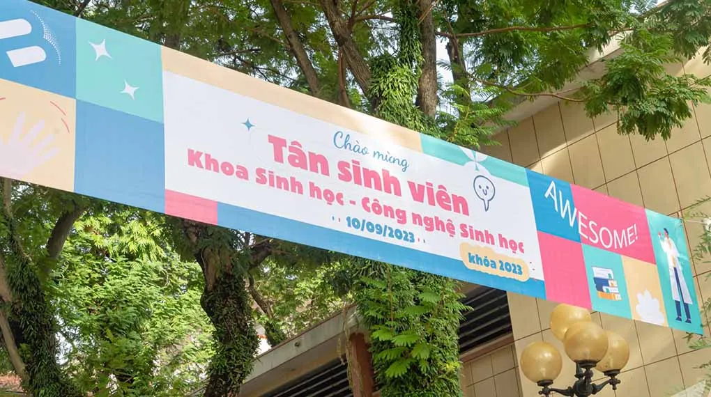 Phông Bạt Hiflex Xanh In Kỹ Thuật Số iN Bat Kho Lon19